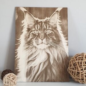 maine coon en tilleul brut