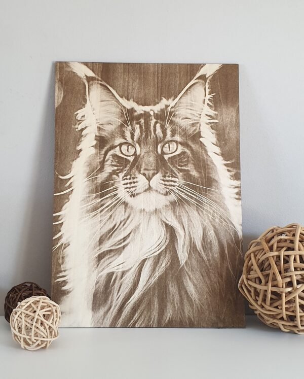 maine coon en tilleul brut